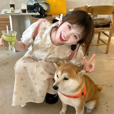 与鲨同泳